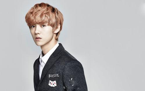 鹿晗新闻爆料视频播放下载,揭秘幕后真相